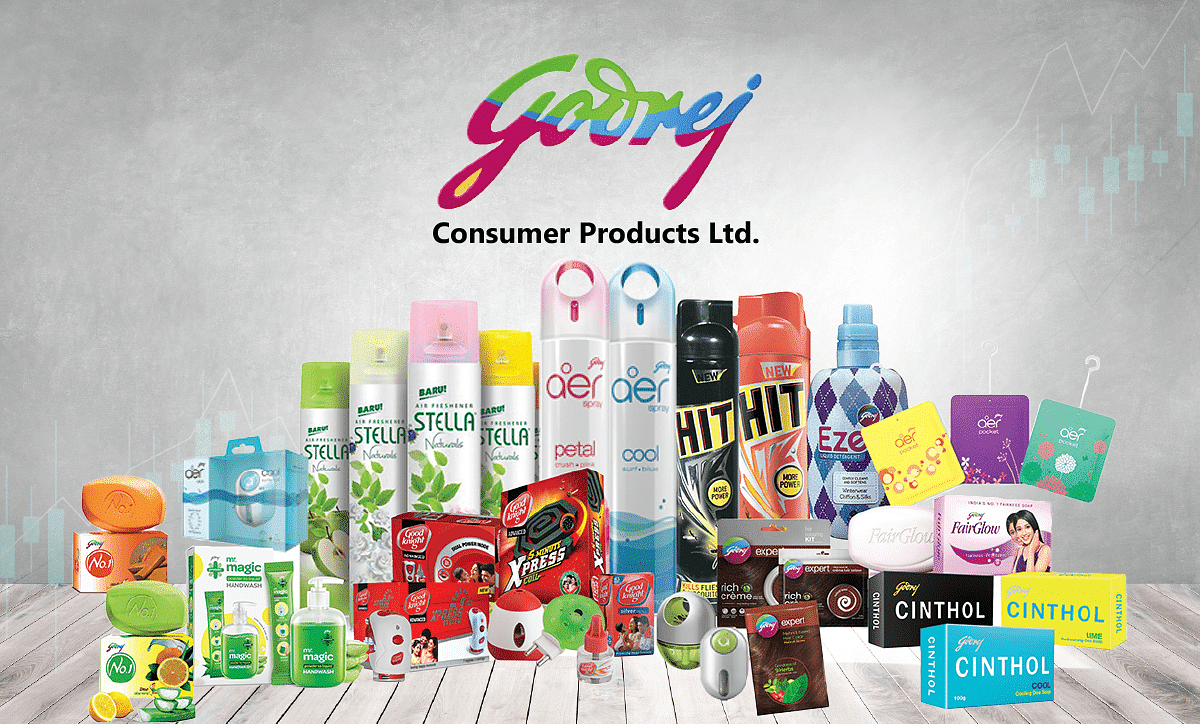 GCPL global product portfolio - HIT, Goodknight, Aer, Cinthol, Godrej Expert, Stella, Mitu, Proclin, Biosol, Carrera